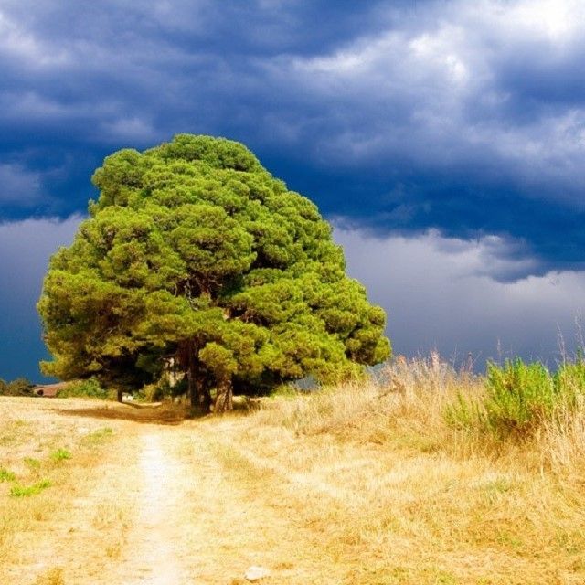 Antistress, Entspannung