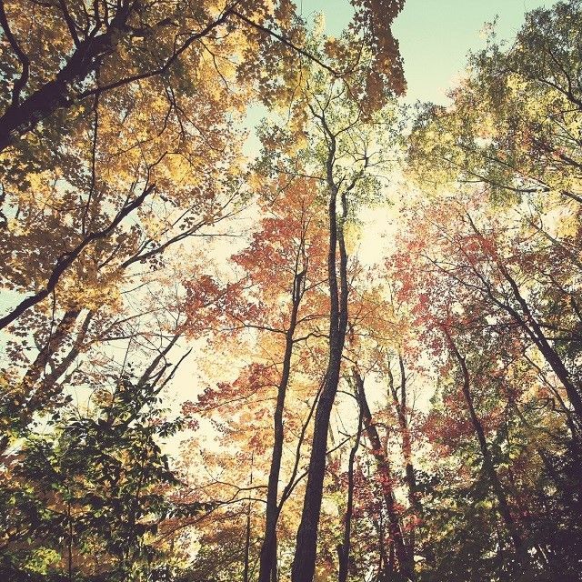 Waldbaden, Entspannung